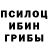 Псилоцибиновые грибы Magic Shrooms Ruslan Chechin