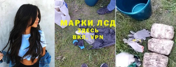 мяу мяу мука Горняк