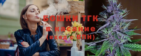 мяу мяу мука Горняк