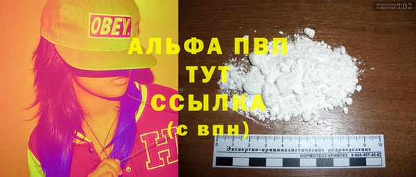 винт Горно-Алтайск