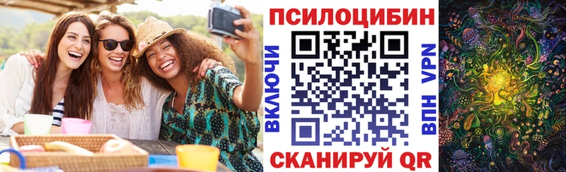 как найти закладки Новоржев Псилоцибиновые грибы мухоморы